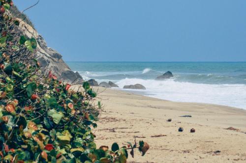 Playa Los Angeles