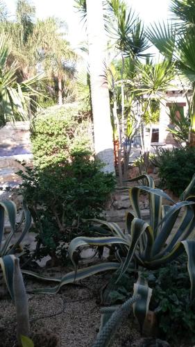 De Michanna De Michanna