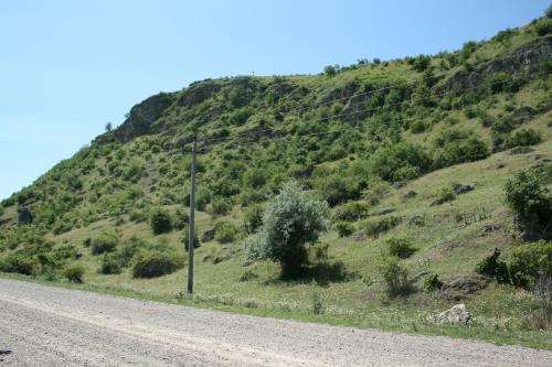 Vila Dora, Japca (foto 7)