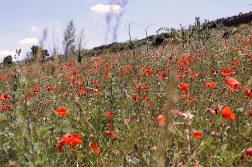 A környék, Casa Enpiera III - Turistrat in Cinctorres