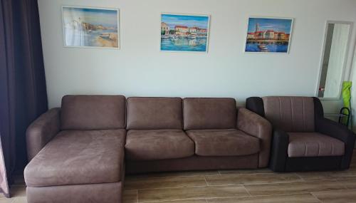 Rafailovici Studio Vita - main image