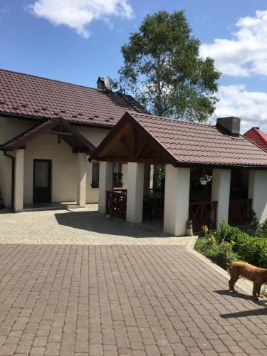 Карпатский уикенд, Slavske (foto 5)