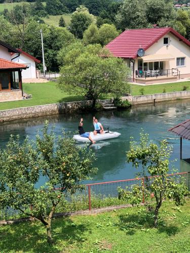 Pliva - main image