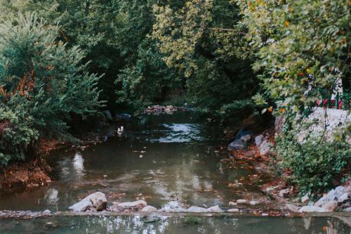 Misgibi Hotel - image 5