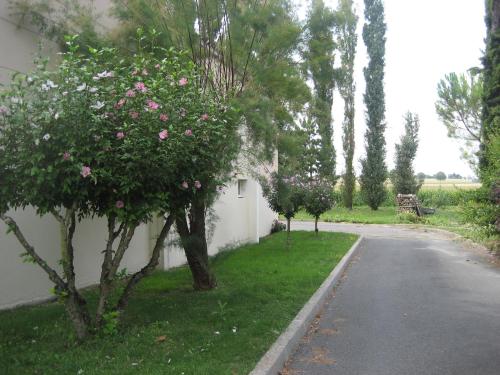 Hôtel Bon Repos - image 3