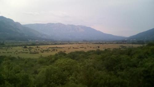  Apartman Mare, Unterkunft in Čilipi