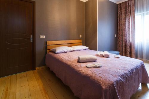 Panorama Guesthouse in Bagvdanari