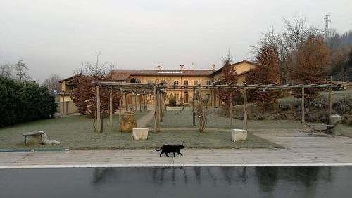 A Mira 'd Novel gîte à louer Mondovì