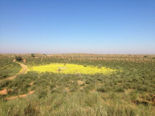 Kalahari Cottage