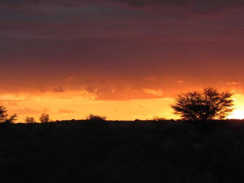 Kalahari Cottage