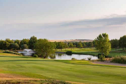 Exe Layos Golf - image 6