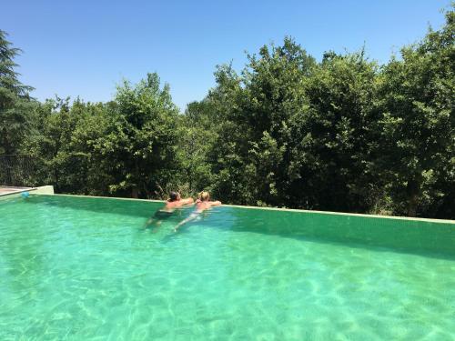 Sous les oliviers - Piscine chauffée à débordement- Studios climatisés