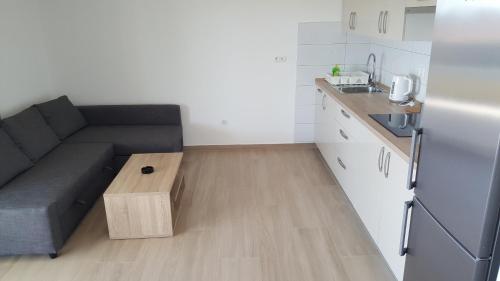 One-Bedroom Apartment image 7
