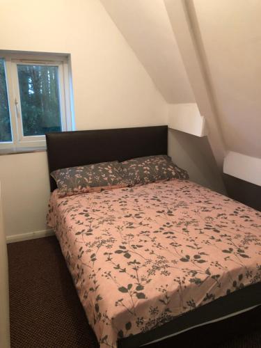 Picture of Treetops Flat2