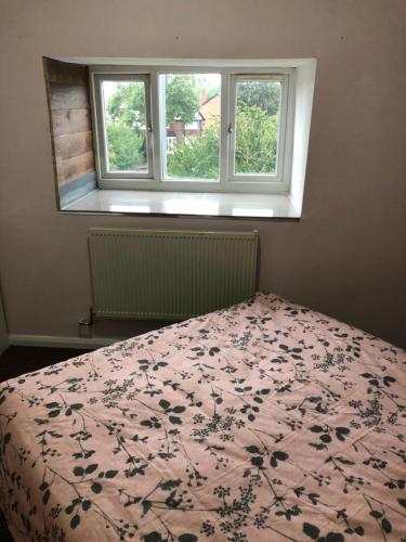 Picture of Treetops Flat2