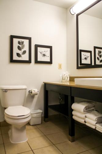 カントリー イン&スイーツ バイ ラディソン ワシントン ダレス インターナショナル エアポート