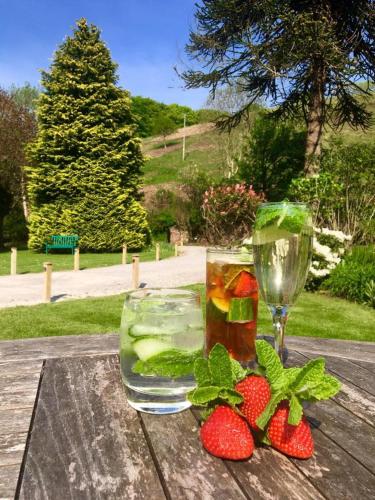 Combe House Hotel - image 14