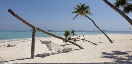 212156505 PERLA Dhangethi