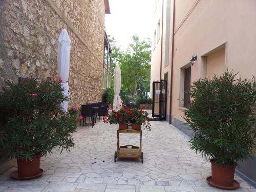  Tellus Saturnia, Pension in Saturnia