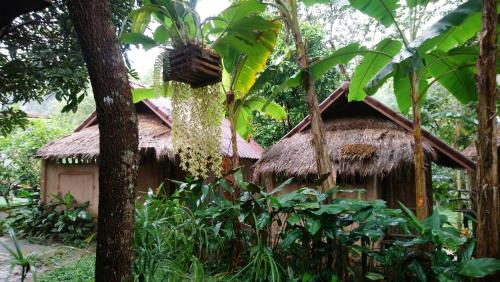 Hill Tribe Art House...Lahu & Akha Homestay in Mae Yao