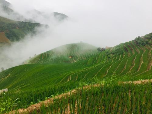 Hello Mu Cang Chai Homestay