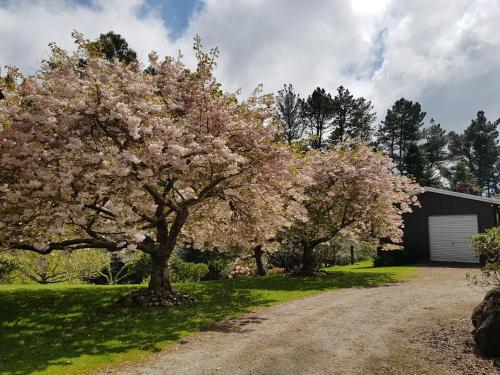 Haurata High Country Retreat/walks