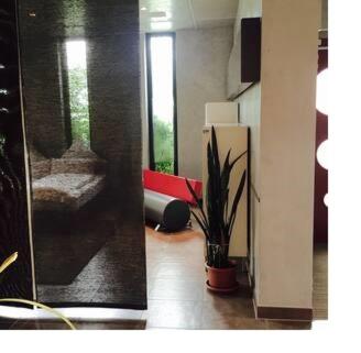 Wohnen mit Stil und Licht im Gastehaus ZWO