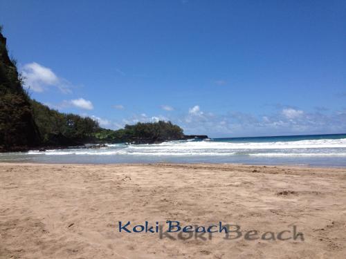Heavenly Hana Paradise - image 11