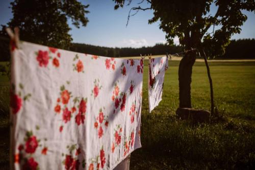 花園, Stixenhof - Ferienwohnung Heidi Nehmeier in 阿恩多夫