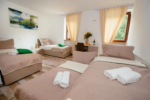 Sunny Rooms 5