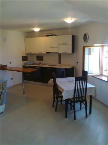  Apartments Edo in Novigrad