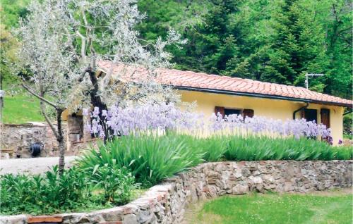  Campo ai Noci, Pension in Castelnuovo di Val di Cecina