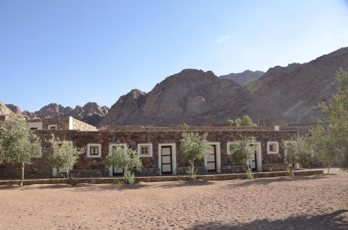 Sheikh Mousa Bedouin Camp