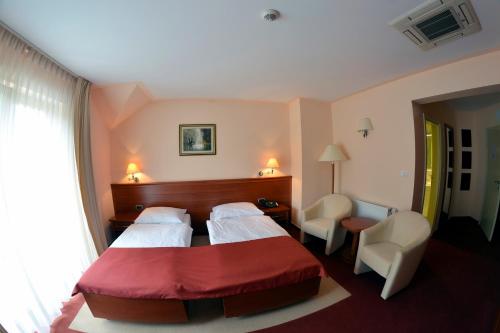 Hotel Mladimir in Daruvar