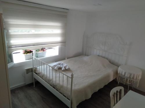  Pavita, Pension in Istanbul bei Taşoluk