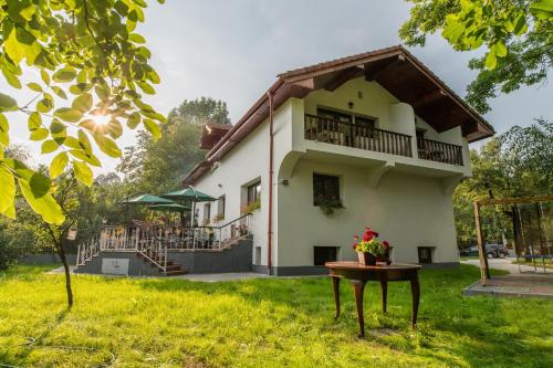 Casa din Plai - Accommodation - Proviţa de Sus