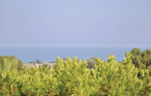 Skats, Cozy Home In San Giuliano With Wifi in San-Giuliano