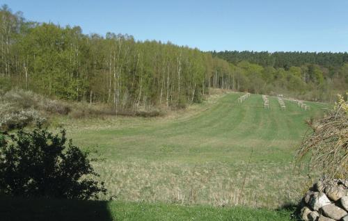 Ferienhaus Waldstr. R