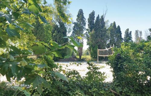 Pet Friendly Home In Narbonne With Sauna - image 5