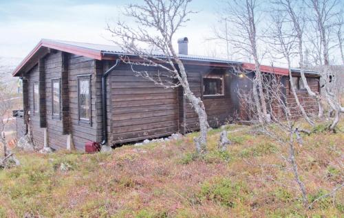 . Beautiful Home In Vemdalen With 3 Bedrooms, Sauna And Internet