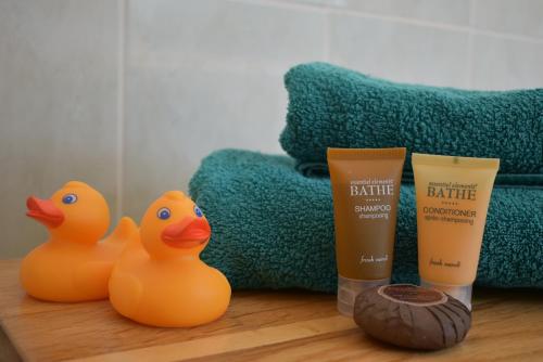 Stoats Old River Way - image 10