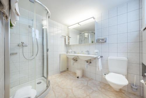 Hotel-Restaurant Bellevue - image 10