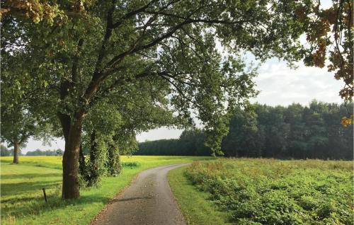  Awesome Home In Neede With 4 Bedrooms And Wifi in Neede