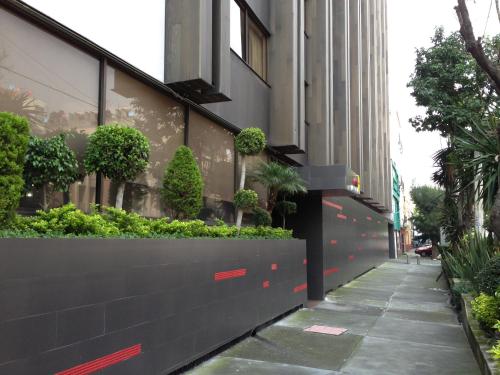 Hotel Amazonas – Mexico City, CT