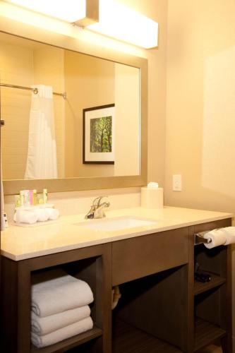 Holiday Inn Express and Suites Schulenburg, an IHG Hotel