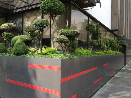 Hotel Amazonas – Mexico City, CT