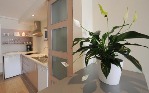 廚房, Apartamentos Turisticos Mirablanc in 巴爾胡恩克拉