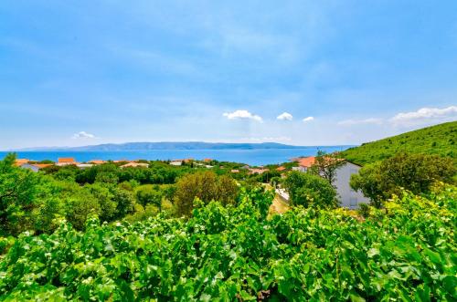  Apartmani Katica in Povile