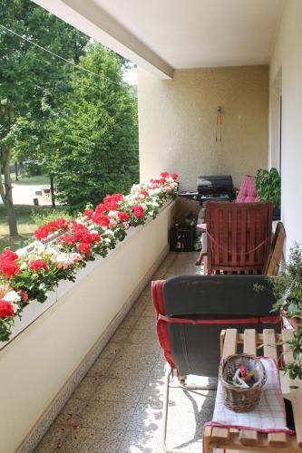 Bed & Breakfast Bonn, Бонн (фото 10)