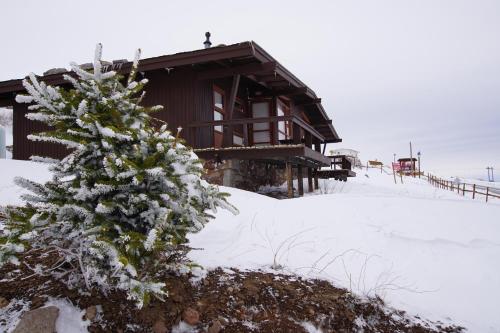 El Colorado Bungalows - Chalet - El Colorado